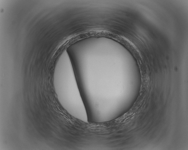 X0000083660823200702120837