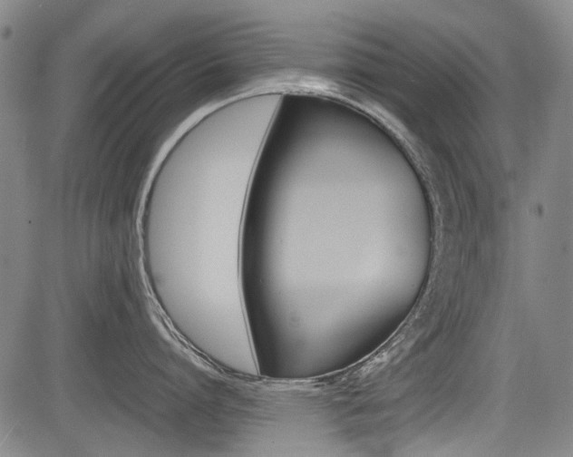 X0000083660864200702120838