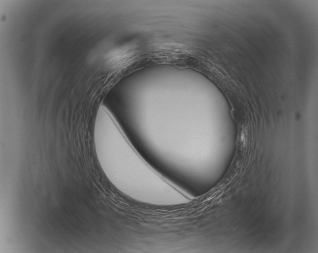 X0000083660867200702120837