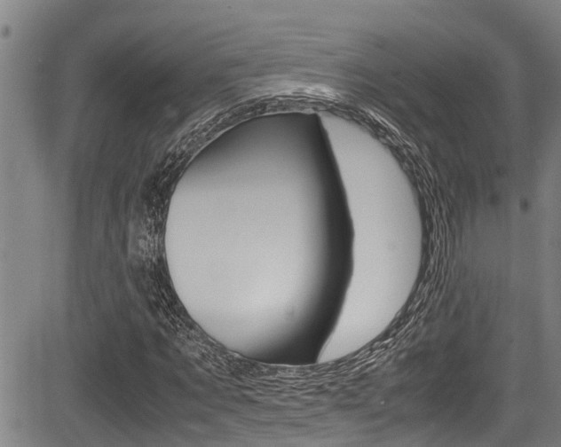 X0000083660869200702120837