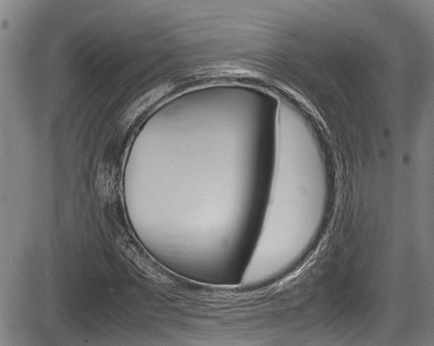 X0000083660873200702120837