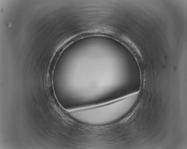 X0000083660876200702120837