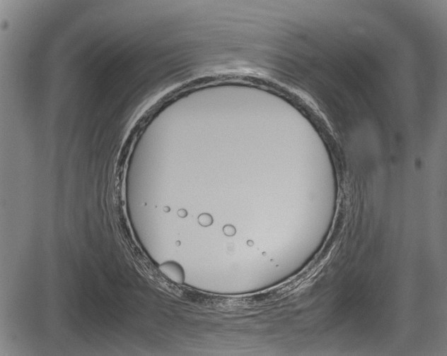 X0000083660879200702120837