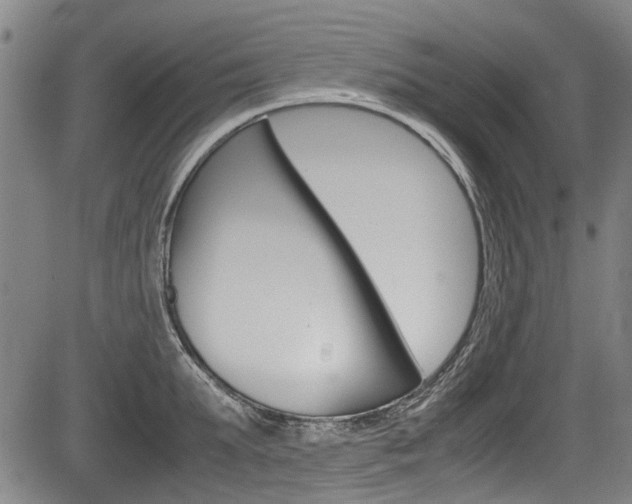 X0000083660903200702120837