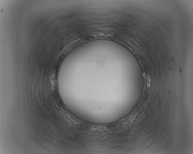 X0000083660915200702120836
