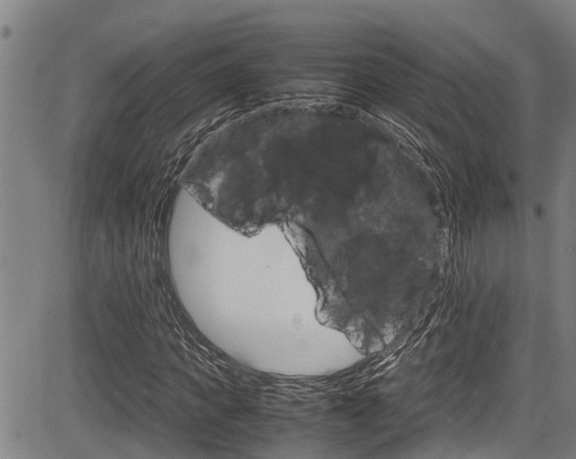 X0000083660917200702120836