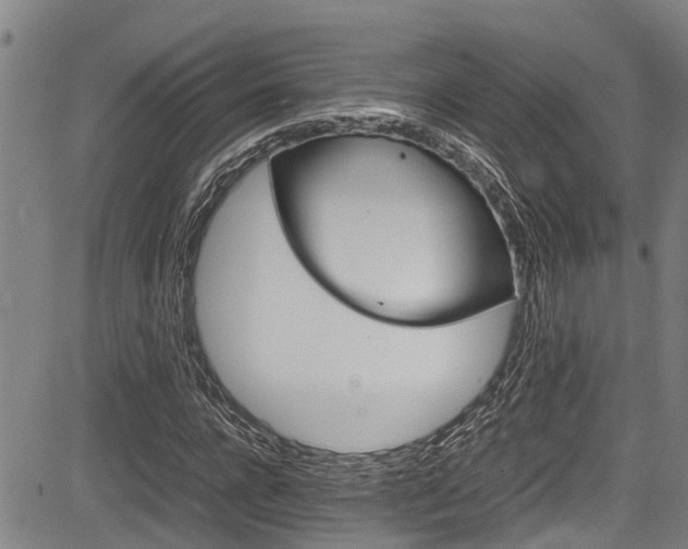 X0000083660920200702120836