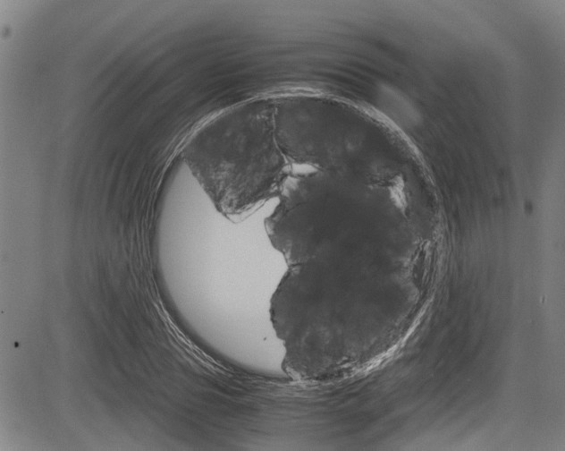 X0000083660929200702120836