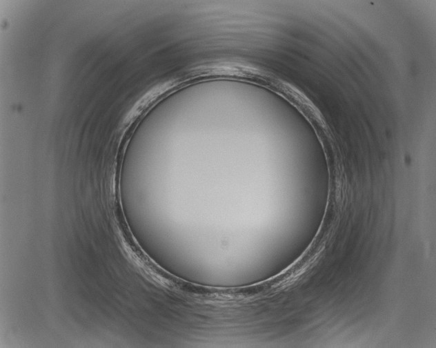 X0000083660938200702120836