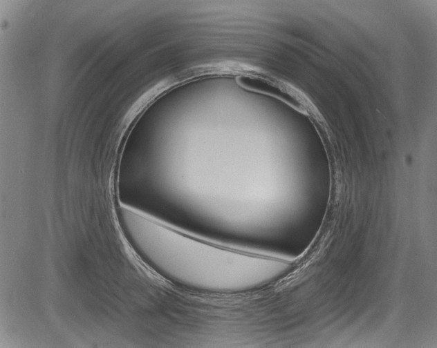 X0000083660946200702120836