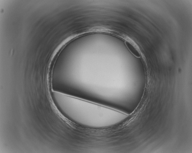 X0000083660947200702120836