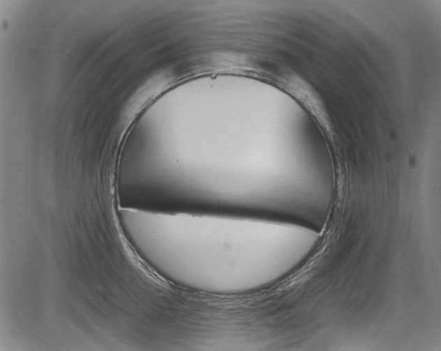 X0000083660954200702120836