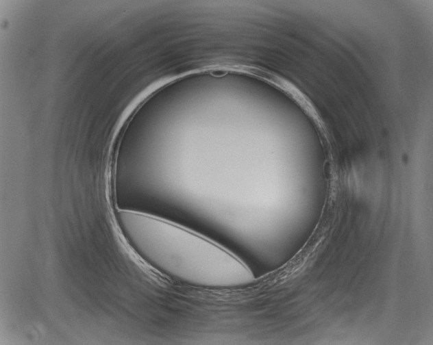 X0000083660955200702120836