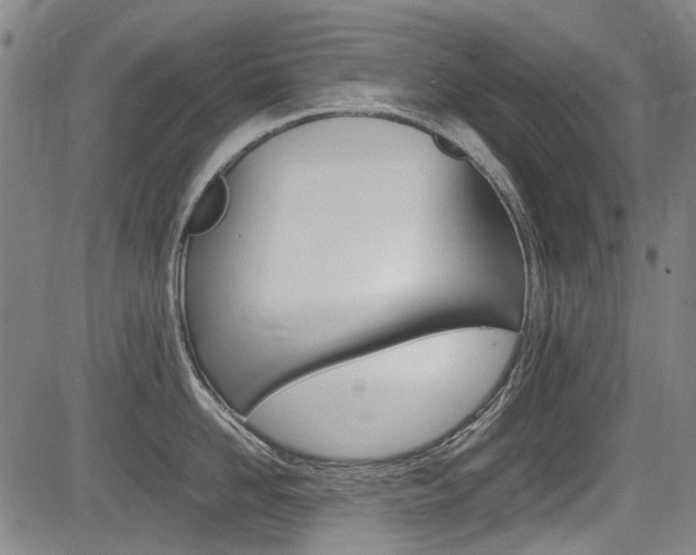 X0000083660958200702120836