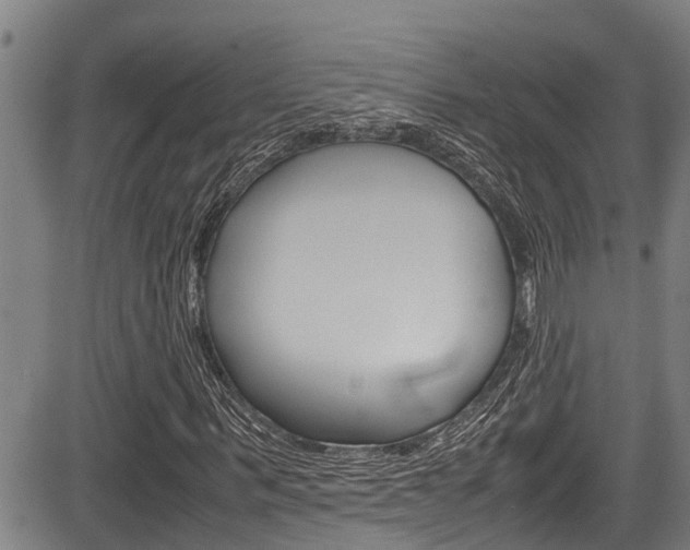 X0000083660963200702120836