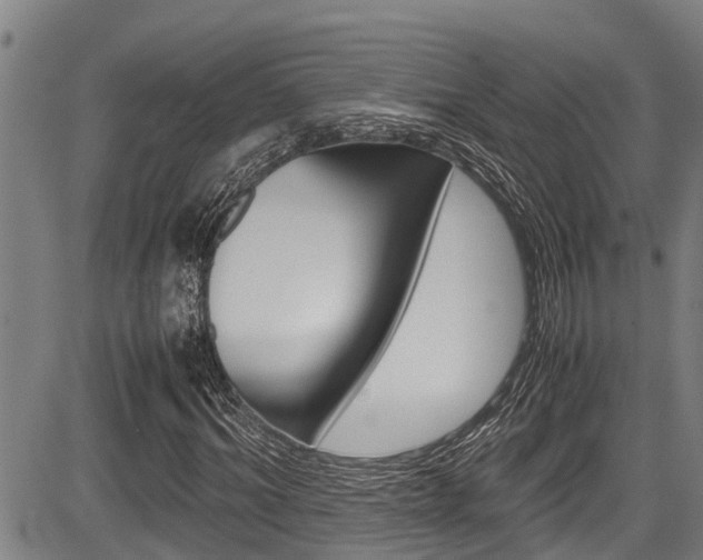 X0000083660964200702120836