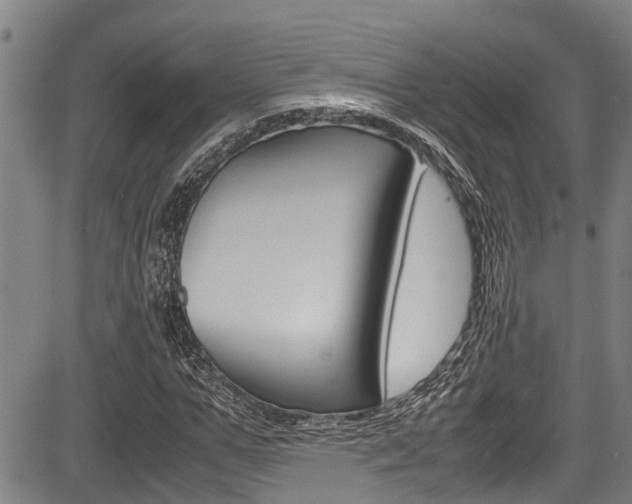 X0000083660967200702120836