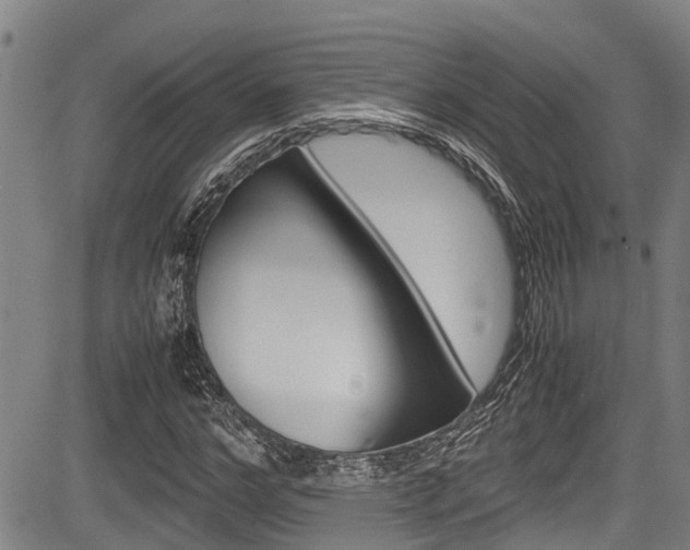 X0000083660968200702120836