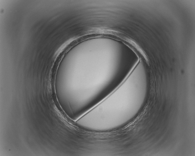 X0000083660972200702120835