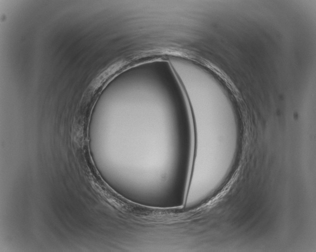 X0000083660977200702120835