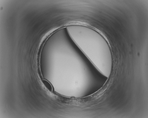 X0000083660995200702120835