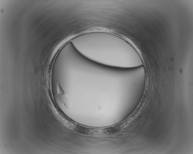 X0000083661003200702120835