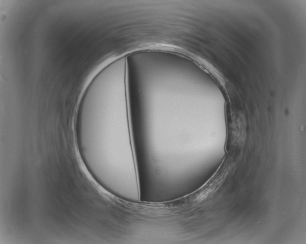 X0000083661007200702120835