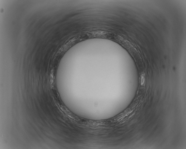 X0000083661011200702120834