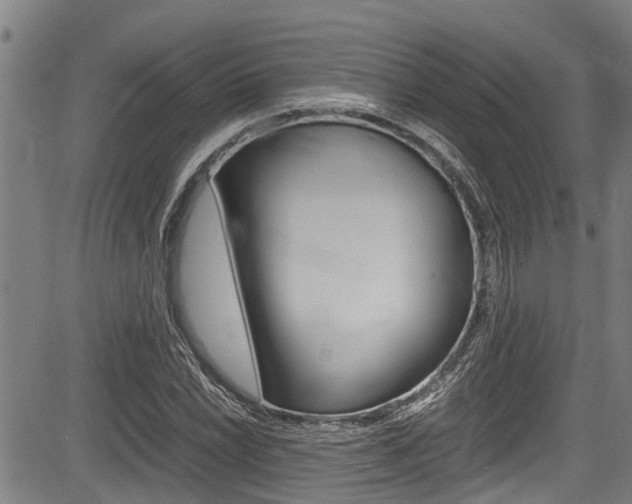 X0000083661022200702120834