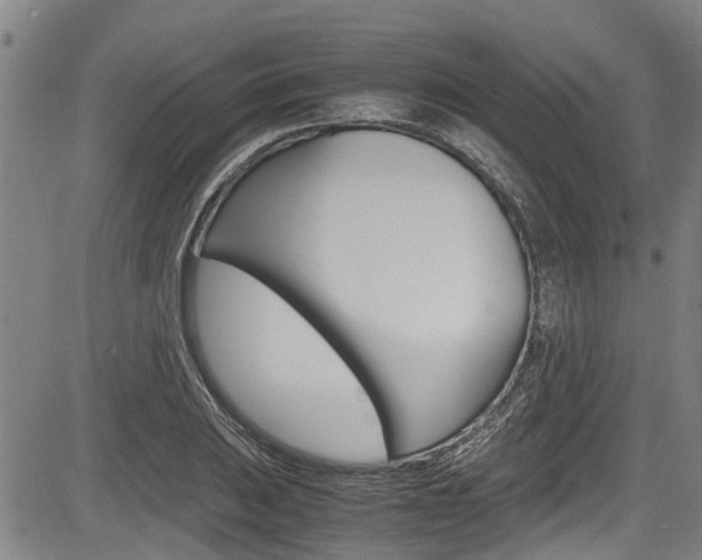 X0000083661031200702120834
