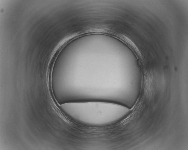 X0000083661035200702120835