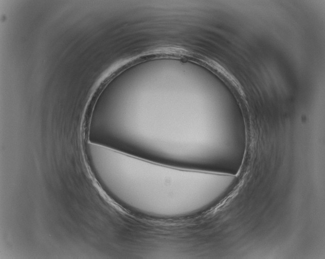X0000083661037200702120835
