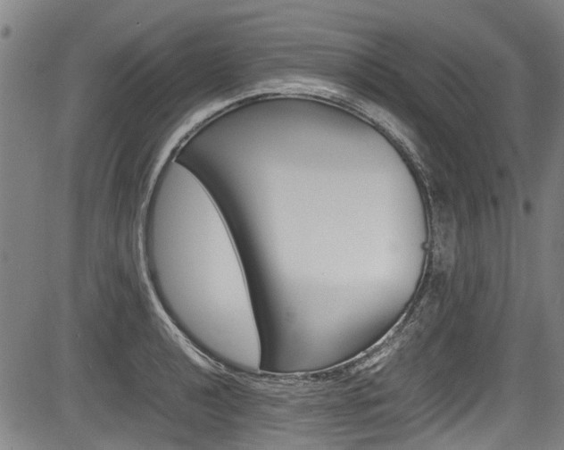 X0000083661040200702120835