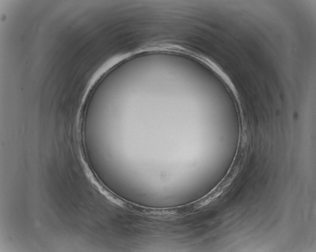X0000083661053200702120835