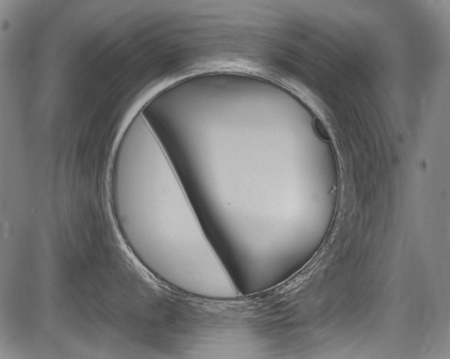 X0000083661056200702120835