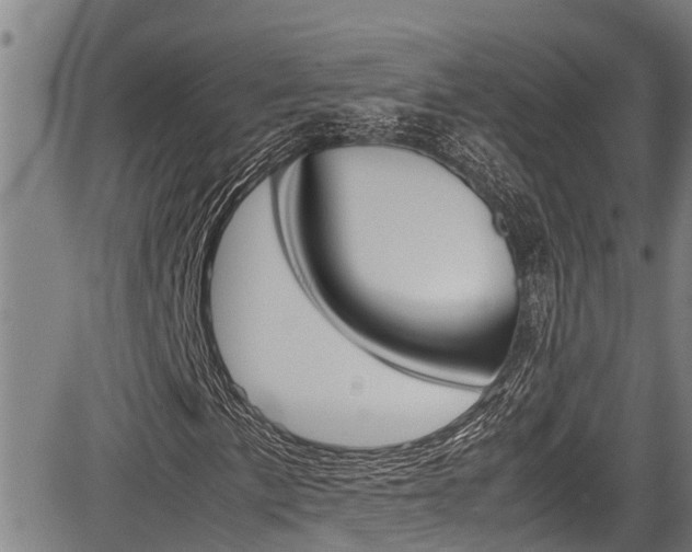 X0000083661057200702120834