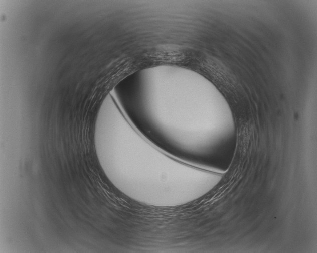 X0000083661058200702120834