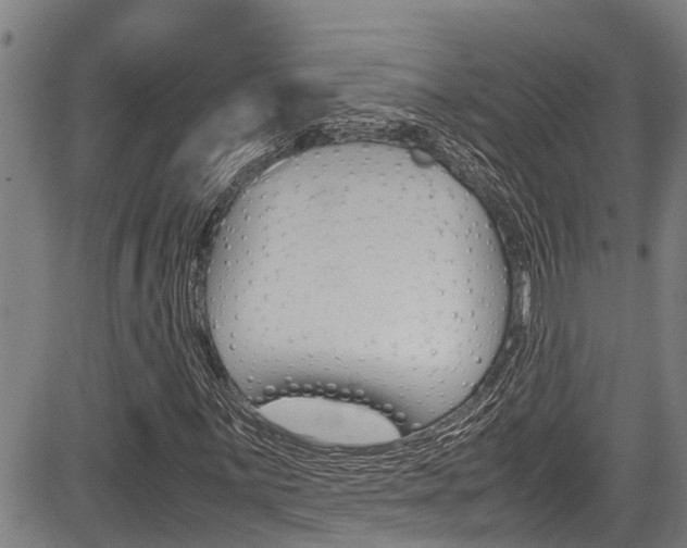 X0000083661059200702120834