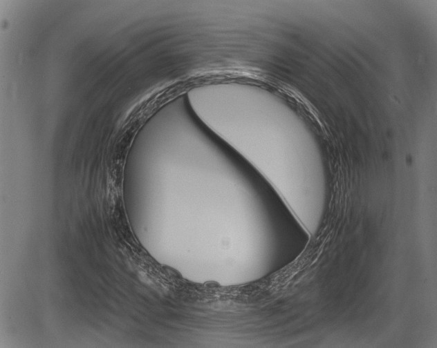 X0000083661064200702120834
