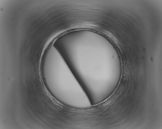 X0000083661072200702120834