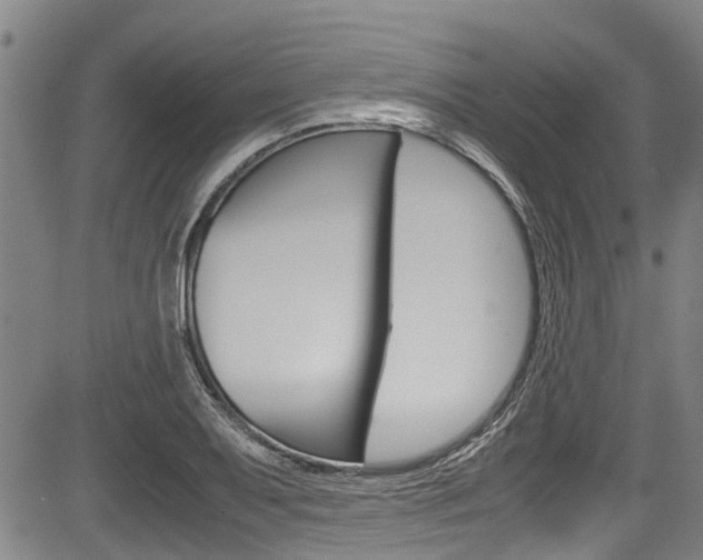 X0000083661079200702120834