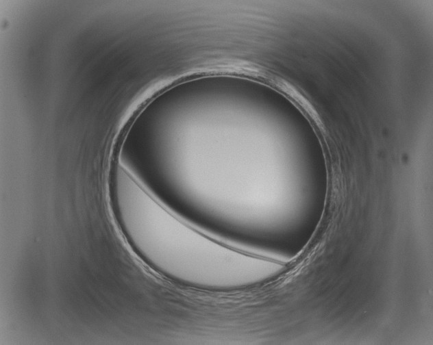 X0000083661093200702120834