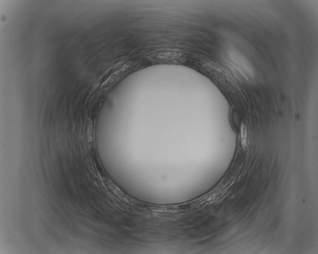 X0000083661107200702120833