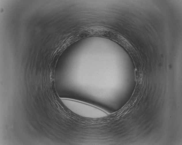 X0000083661108200702120833