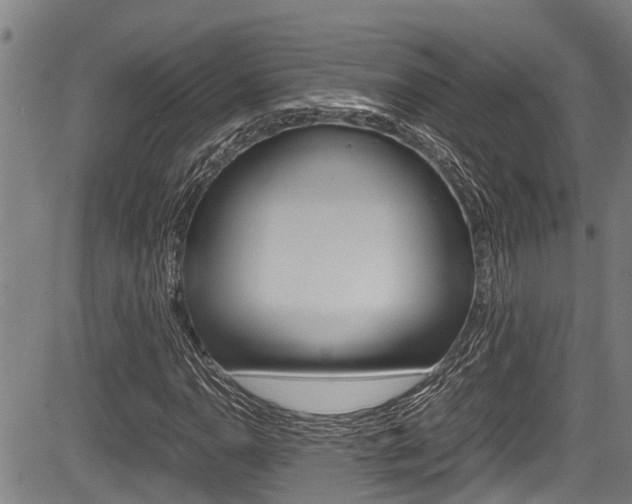 X0000083661110200702120833