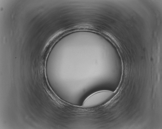 X0000083661115200702120833