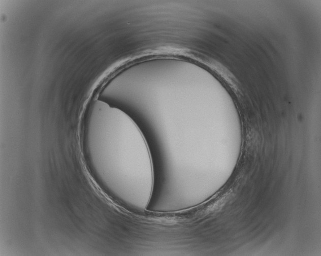 X0000083661126200702120833