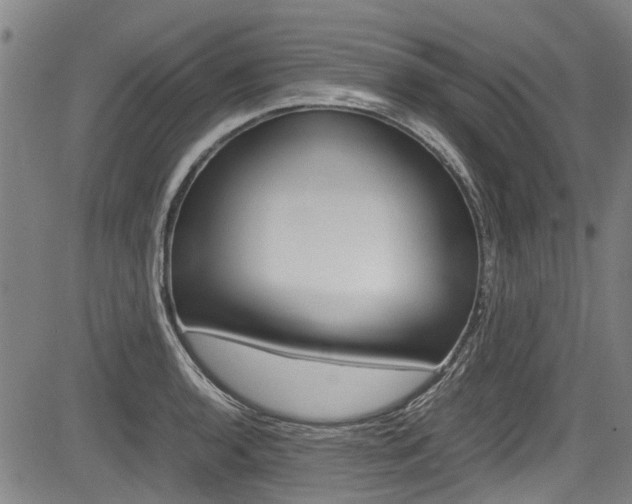 X0000083661136200702120833