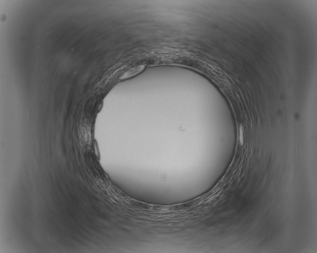 X0000083661155200702120833