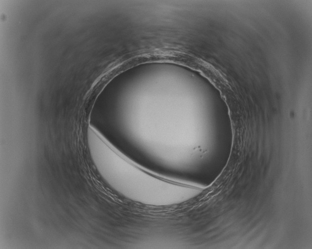 X0000083661160200702120832